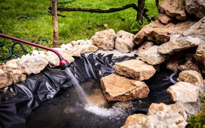 Fenntartható tavi élmény – Szakértői tanácsok az álomkerthez