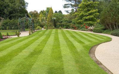 Tökéletes szintek, biztos jövő – Miért nem spórolhat a tereprendezésen?